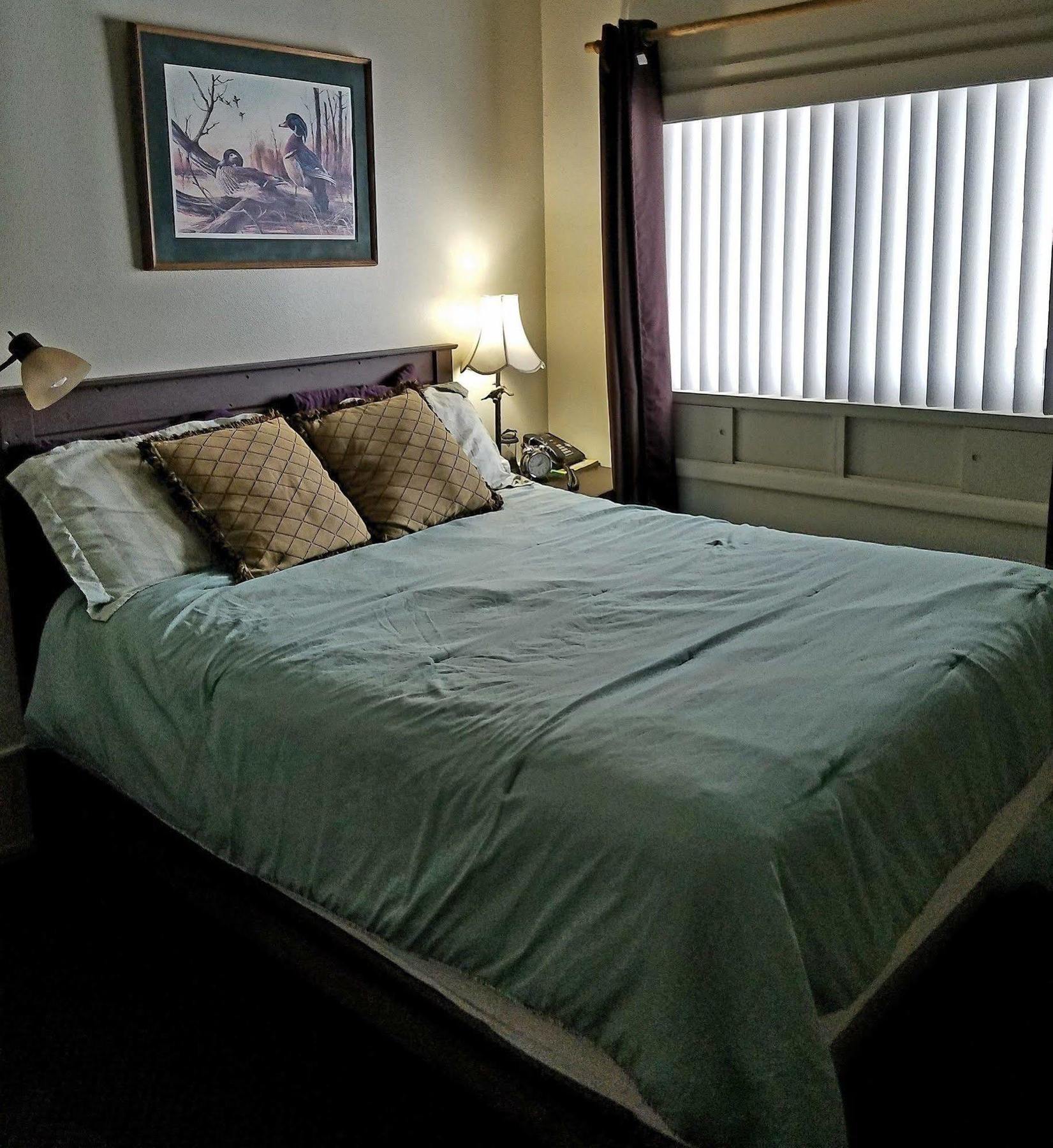 Dawson House Lodge تشيمولت المظهر الخارجي الصورة